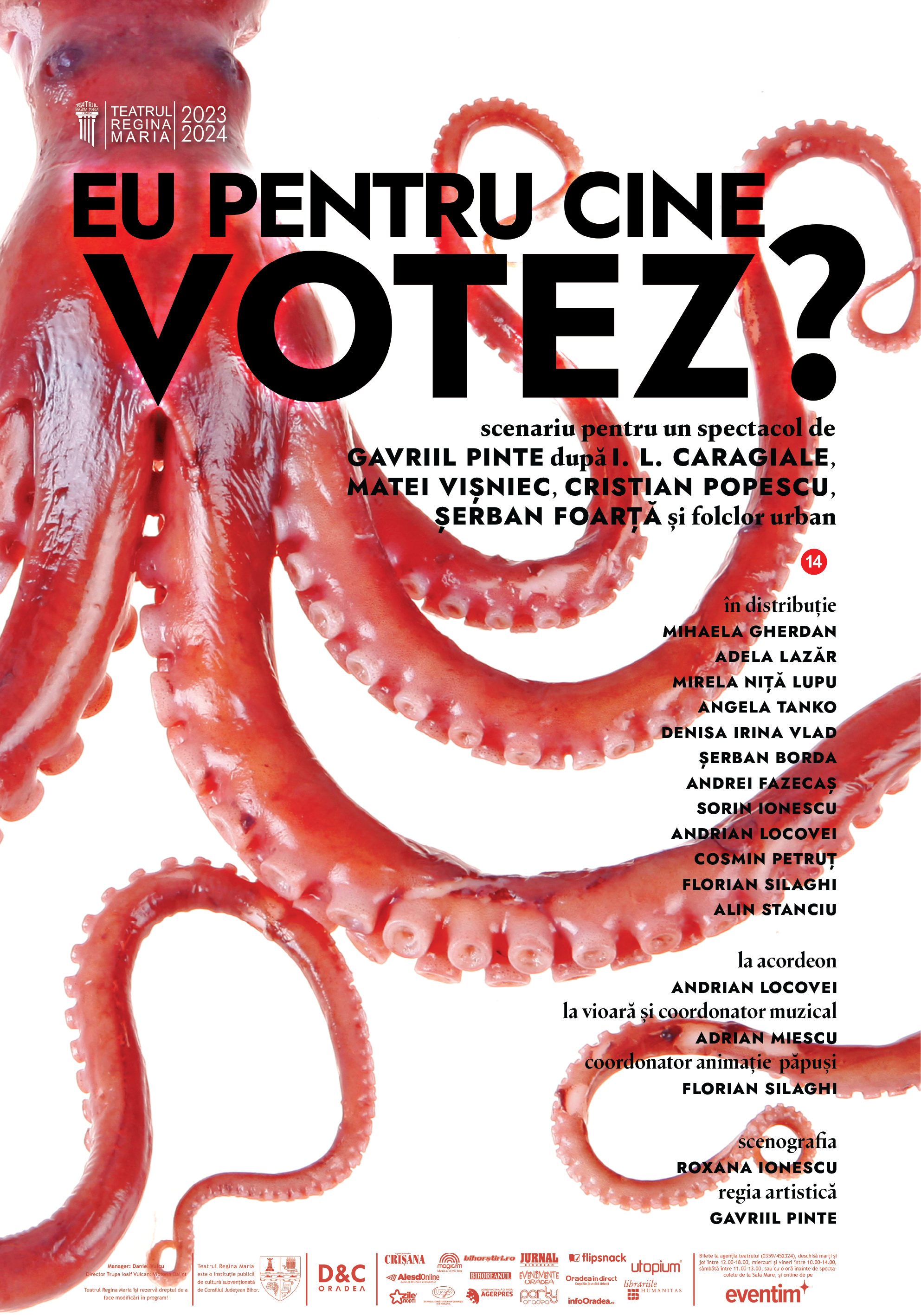 Afis web Eu pentru cine votez