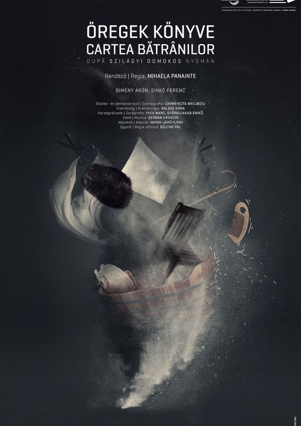 Festivalul Internațional de Teatru Oradea