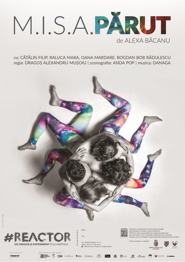 poster img3 misaparut mic 127de5d4