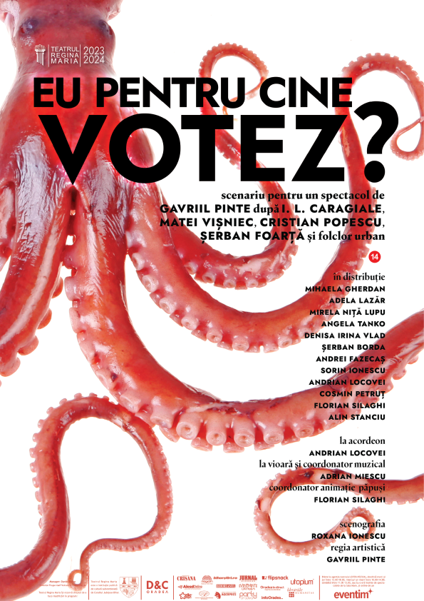 Afis web Eu pentru cine votez 56e58110
